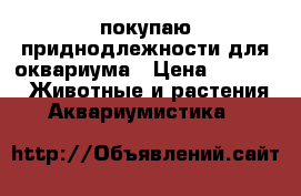 покупаю приднодлежности для оквариума › Цена ­ 1 000 -  Животные и растения » Аквариумистика   